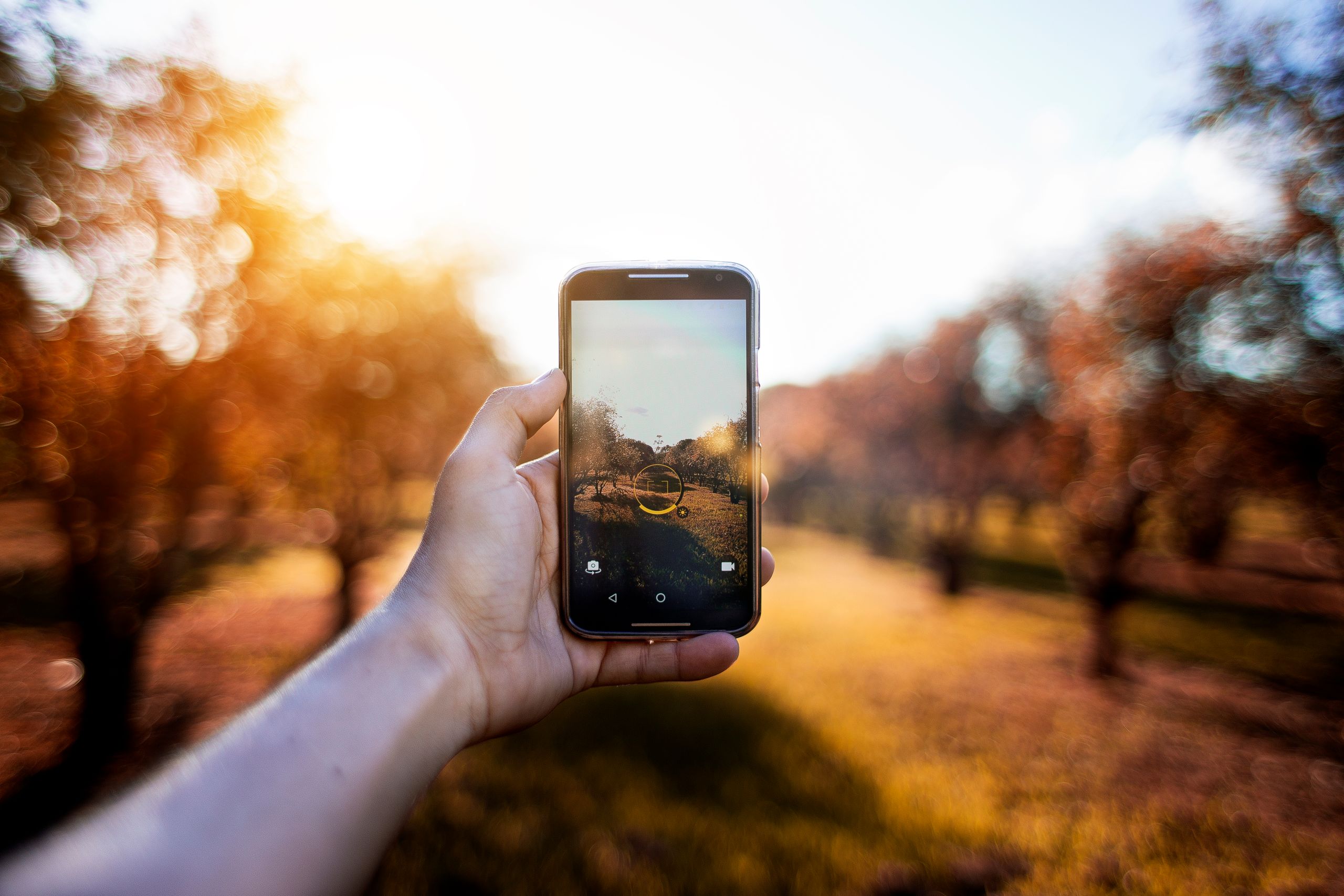 Close-up of a smartphone capturing a sunny outdoor scene with bokeh effect.